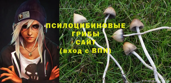Альфа ПВП Алзамай