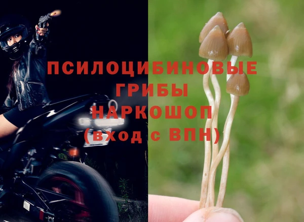 Альфа ПВП Алзамай