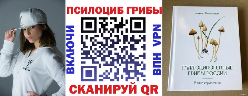 Псилоцибиновые грибы Cubensis это состав Аргун