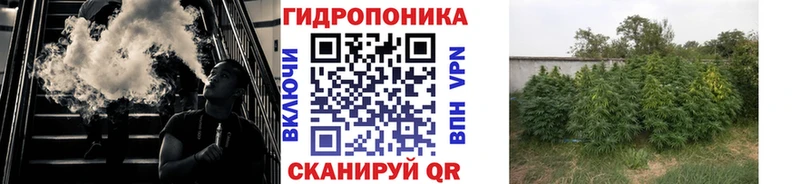 Марихуана AK-47  где найти наркотики  дарк нет клад  Аргун 